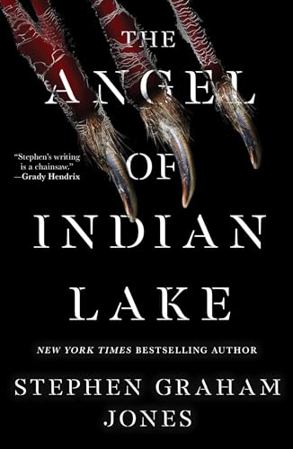 cover image The Angel of Indian Lake